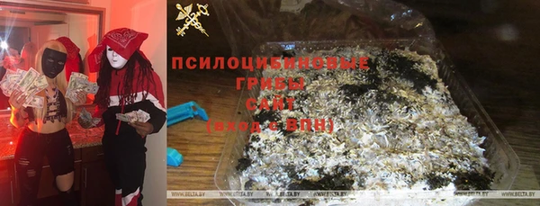МДПВ Абдулино