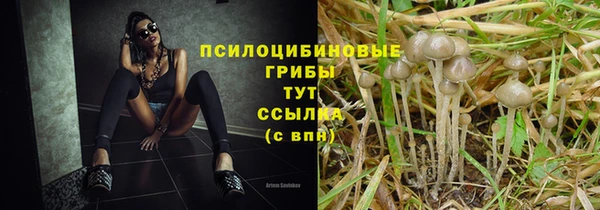 трава Алексин