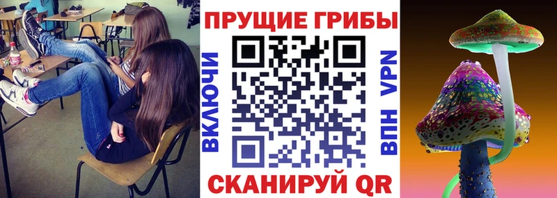 Псилоцибиновые грибы GOLDEN TEACHER  Старая Купавна 