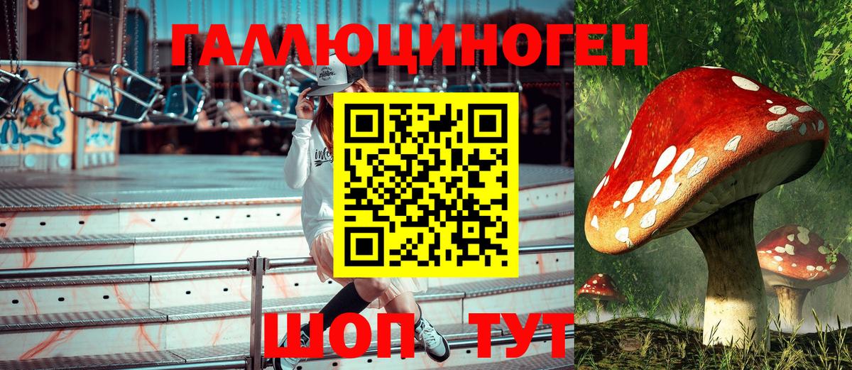 Старая Купавна  где можно купить наркотик  Вход с VPN  Псилоцибиновые грибы Psilocybe 