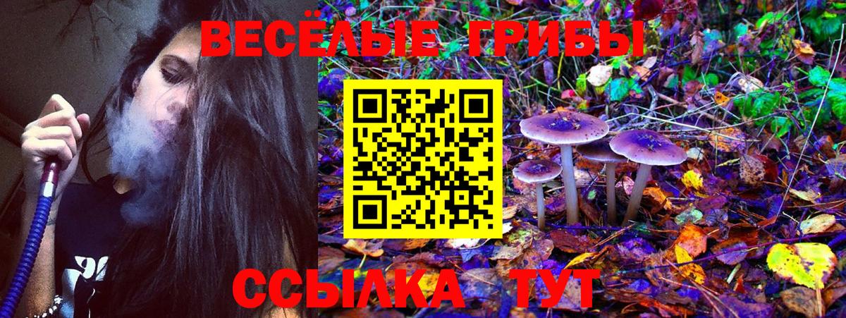Псилоцибиновые грибы прущие грибы Старая Купавна