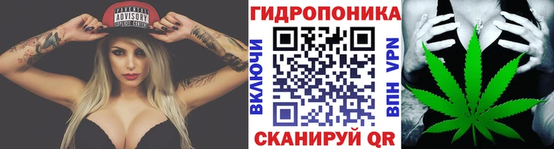 Конопля Amnesia  Старая Купавна 